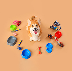 dog toys